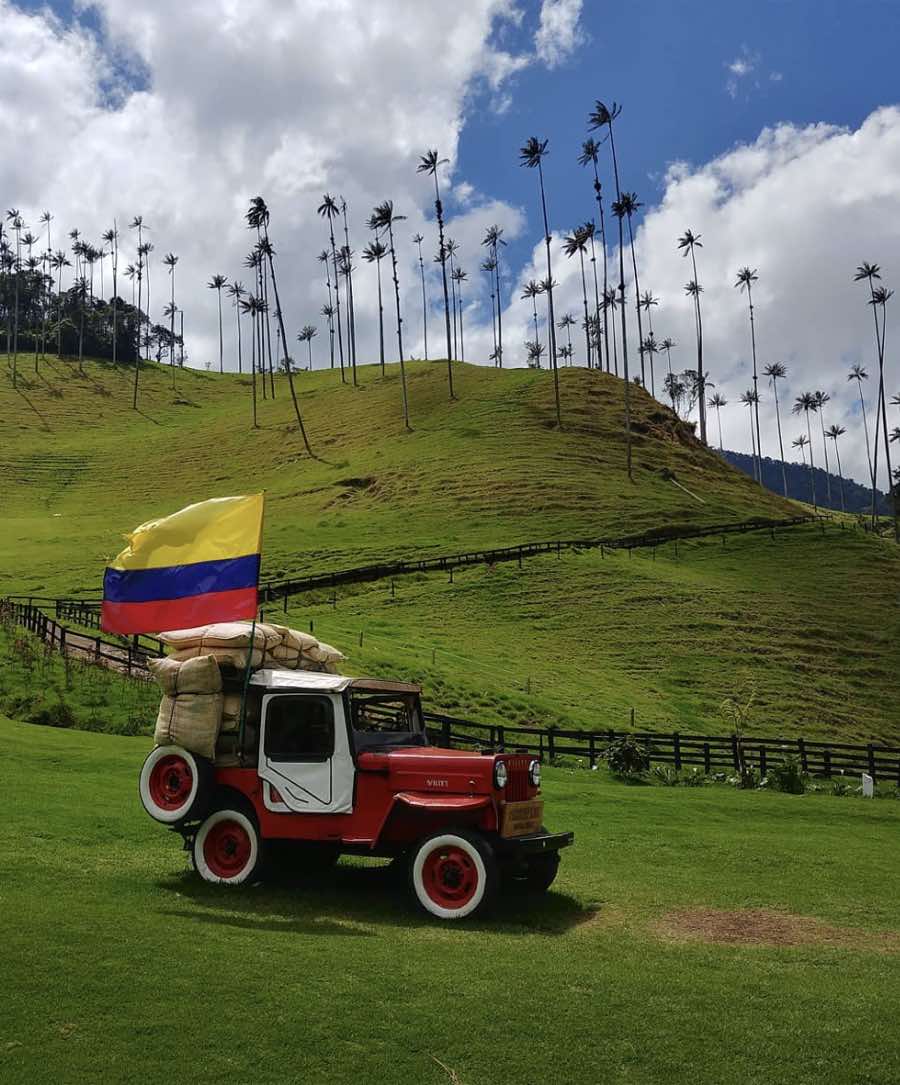 Travel Planner Colombie dans la vallée de Cocora selon la saison